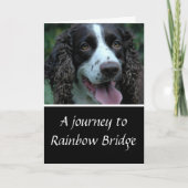 Sympathie van Springer Spaniel Kaart (Voorkant)