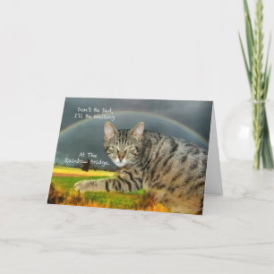 Sympathie - verlies van Pet Tabby Cat Kaart