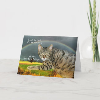 Sympathie - Verlies van Pet Tabby Cat Kaart