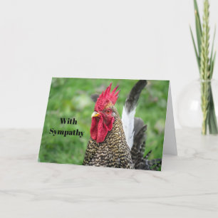 Sympathie voor Chicken Rooster Kaart