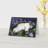 Sympathie voor de kat kaart (Gele Bloem)