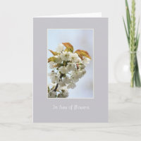 sympathie voor de witte bloemen in plaats van bloe