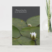 sympathie voor lilly pads