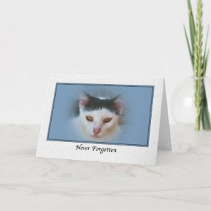 Sympathie voor verlies van huisdier met kat kaart
