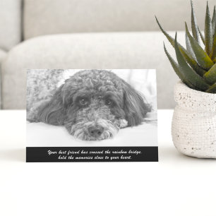 Sympathie Wenskaart Labradoodle Kaart