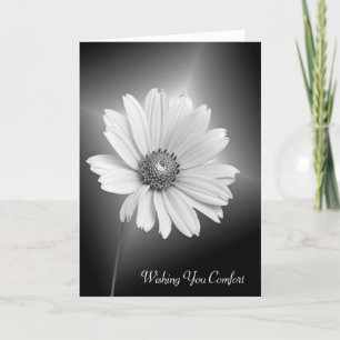 Sympathie White Daisy Flower Kaart