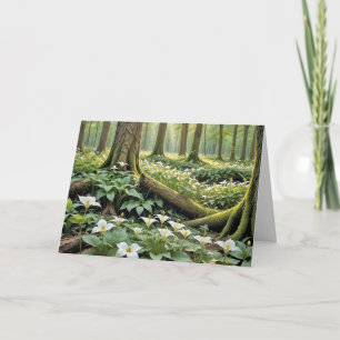 Sympathie Witte Trilliums In Een Voorjaarsbos Kaart