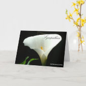 Sympathieën - Calla Lily Kaart (Gele Bloem)