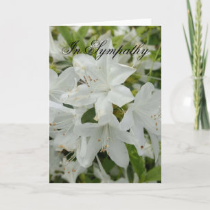 Sympathiekaart met witte azalea’s kaart