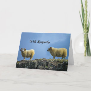 Sympathiekaart voor bergschaap kaart