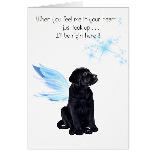 Sympathiekaart voor zwartwitlak - Dog Sympathie - (Voorkant)