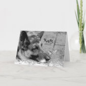 Sympathieverlies van een huisdier kaart (Achterkant)