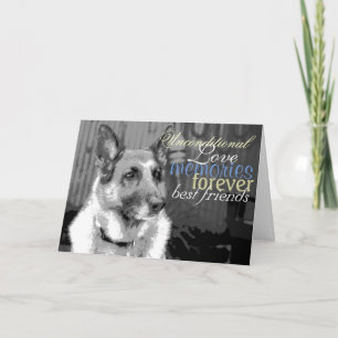 Sympathieverlies van een Pet Kaart