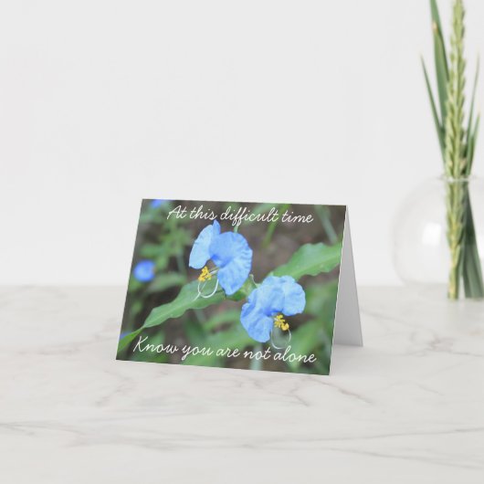 Sympathikaart Aankondiging (Voorkant)