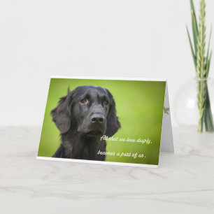 Sympathikaart met Flatcoat Retriever Kaart