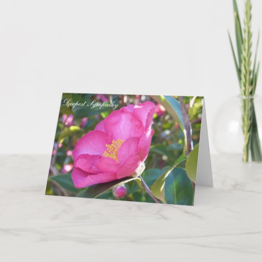 Sympathy Flower Kaart (Voorkant)