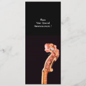 SYMPHONIA / CONCERTPROGRAMMA KLASSIEKE MUZIEK PROGRAMMA (Achterkant)