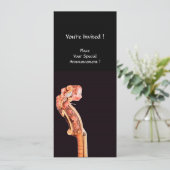 SYMPHONIA / CONCERTPROGRAMMA KLASSIEKE MUZIEK PROGRAMMA (Staand voorkant)