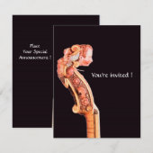 SYMPHONIA / KLASIEKE MUZIEK KAART (Voorkant / Achterkant)