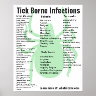 Symptomen van infectie door teik Borne Educational Poster