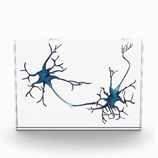 Synaps tussen neuronen, neurowetenschap neuron fotoblokken (Voorkant)