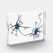Synaps tussen neuronen, neurowetenschap neuron fotoblokken (Links)