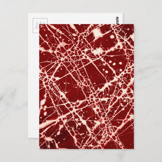 SYNAPSES ~ BRIEFKAART (Voorkant / Achterkant)