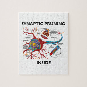 Synaptisch snoeien in neonsynapse neurologie legpuzzel