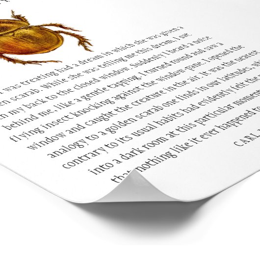 Synchronicity Scarab Poster (Hoek)