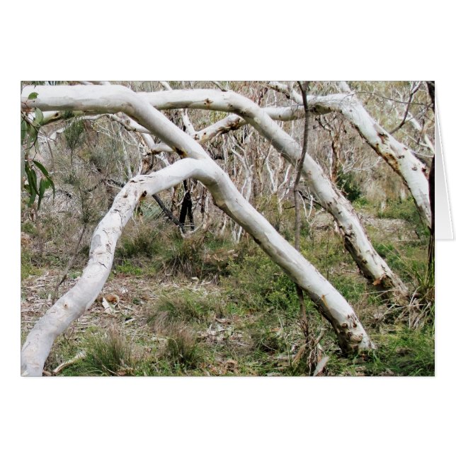 Synchronisatie (Voorkant Horizontaal)