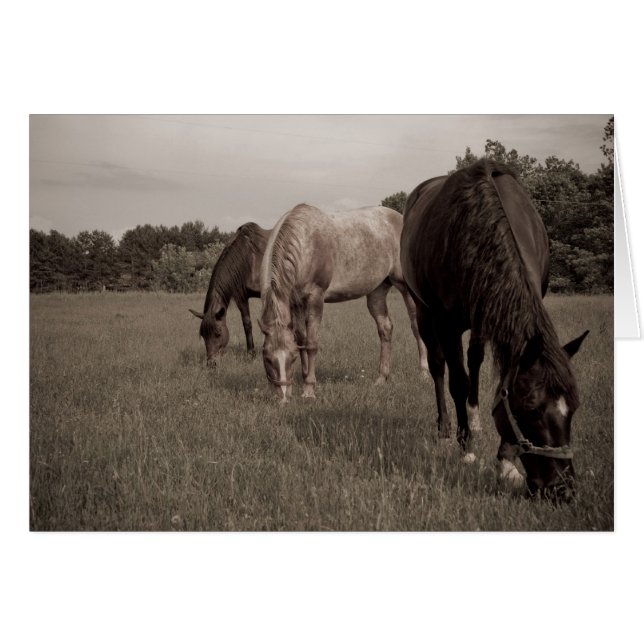Synchronized Munching (Voorkant Horizontaal)
