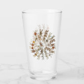 Syncronat Dragonflies Pint Glass Glas (Achterkant)
