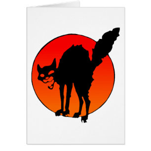 Syndicalistische kat