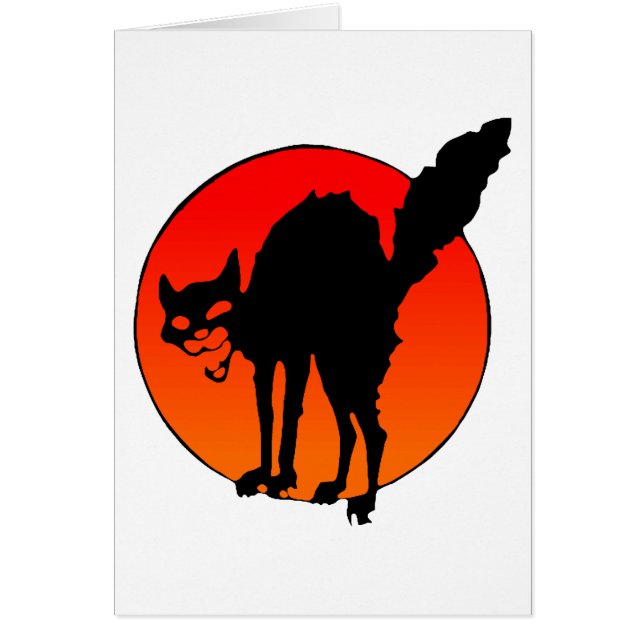 Syndicalistische kat (Voorkant)