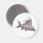 Synodontis eupterus Magnet de poisson (Recto/Verso)