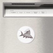 Synodontis eupterus Magnet de poisson (In Situ (Lave-vaisselle))