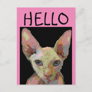SYPHNX HAIRLESS CAT HALLO Briefkaart