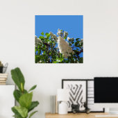 Syringa , Affiche d'arbre à fleurs de lilas blanc (Bureau à domicile)