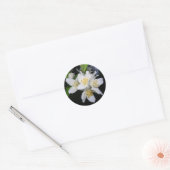 Syringa stickers (Envelop)