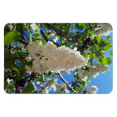 Syringa, witte Lila ventilatorstructuur Magneet (Horizontaal)