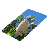 Syringa, witte Lila ventilatorstructuur Magneet (Linkerzijde)