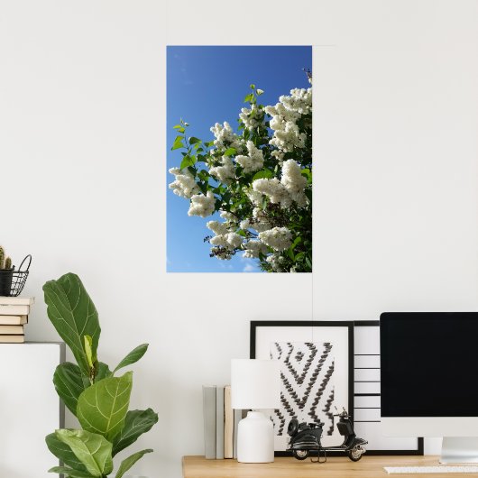 Syringa, witte Lila ventilatorstructuur Poster (Thuiskantoor)