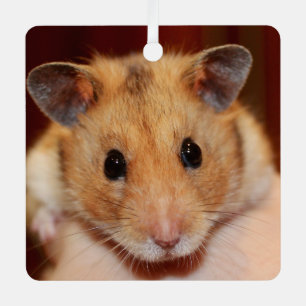 Syrische dichter Hamster - Standaardhamster - Tedd Metalen Ornament
