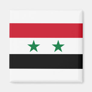 Syrische vlag magneet