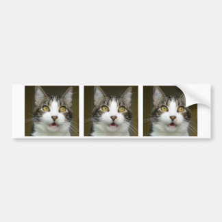 Syrus Geschokte bumpersticker 0001