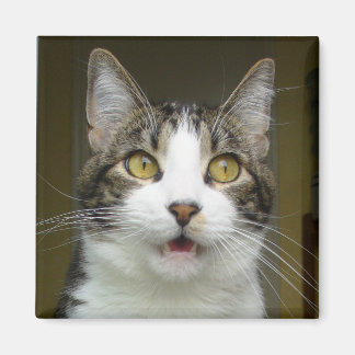 Syrus geschokte magneet 0001