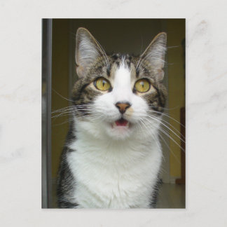 Syrus Shocked Briefkaart 0001