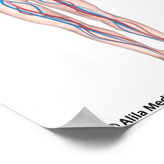 Système de circulation humaine affiche sans étique (Coin)