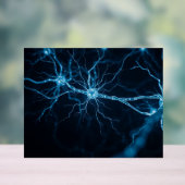 système nerveux (Neutre)