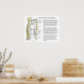 Système nerveux autonome ANS Poster (Cuisine)